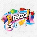 Bingo! is written across a colorful background.