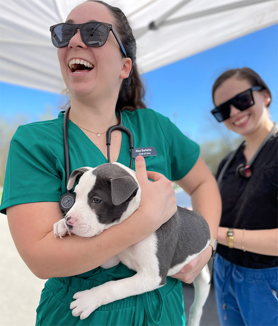 Two veterinarians taking care of a dog.