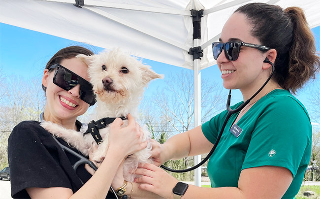 Two veterinarians smiling while checking a dog's health. 