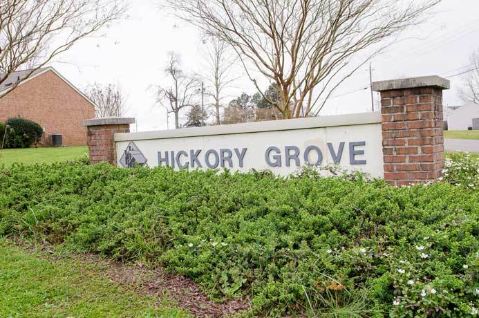 Hickory Grove