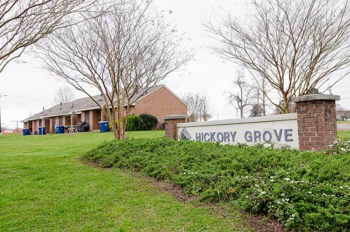 Hickory Grove